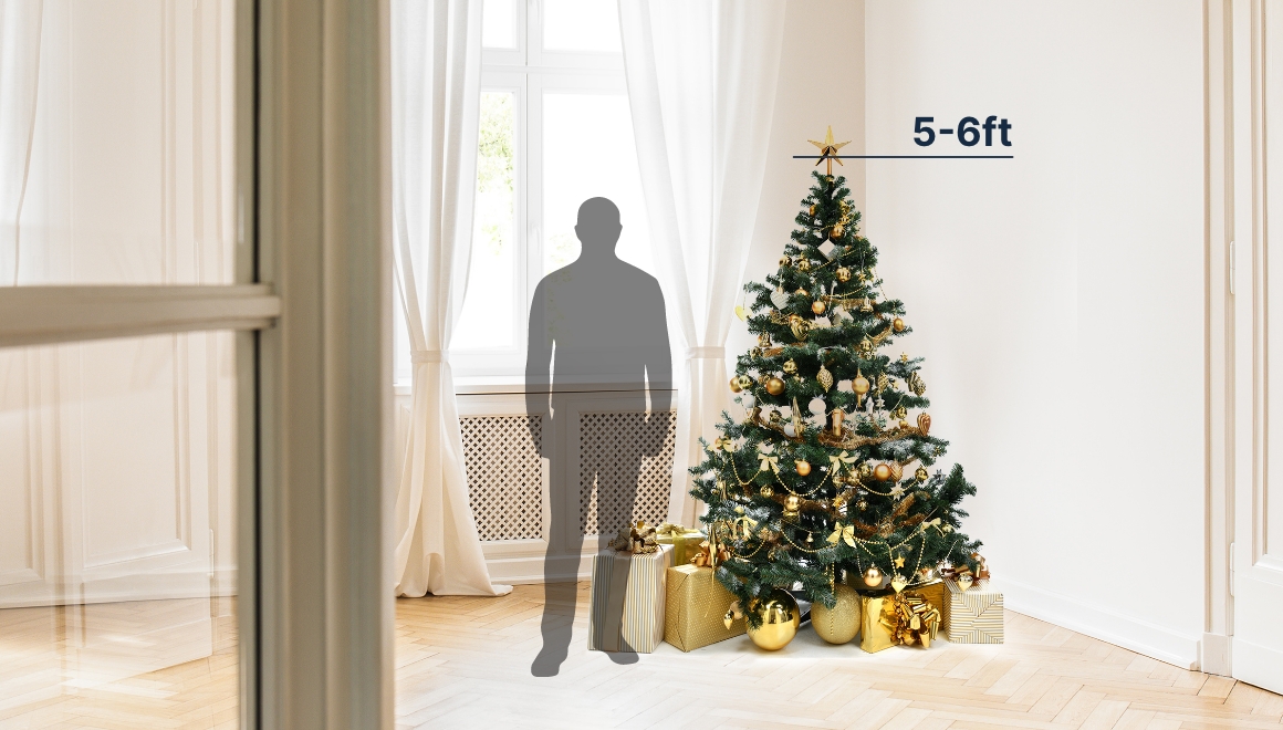 a 5-6 foot tall christmas tree compared to the average human height