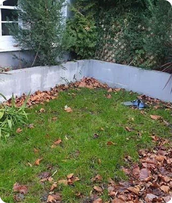 a part of a backyard with fallen leaves and grass which needs to be removed