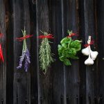 how to grow a herb garden