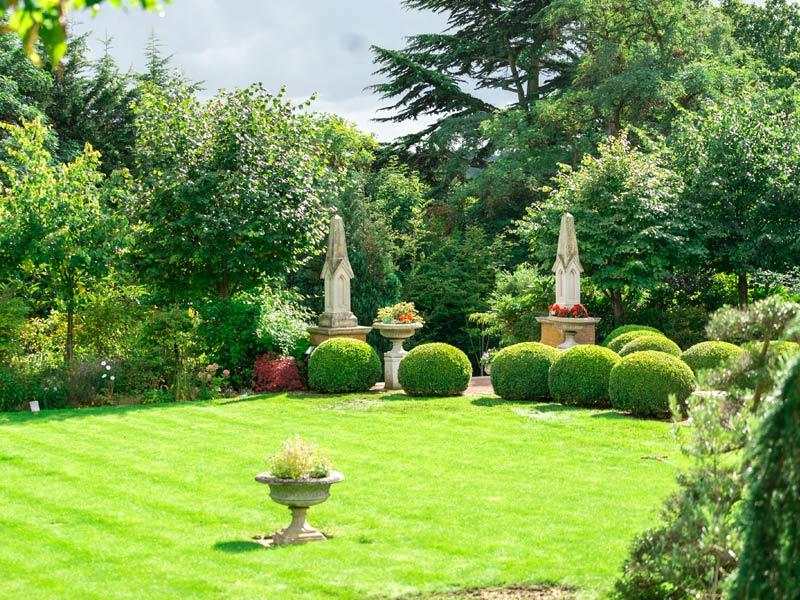 Freshly Cut Lawn